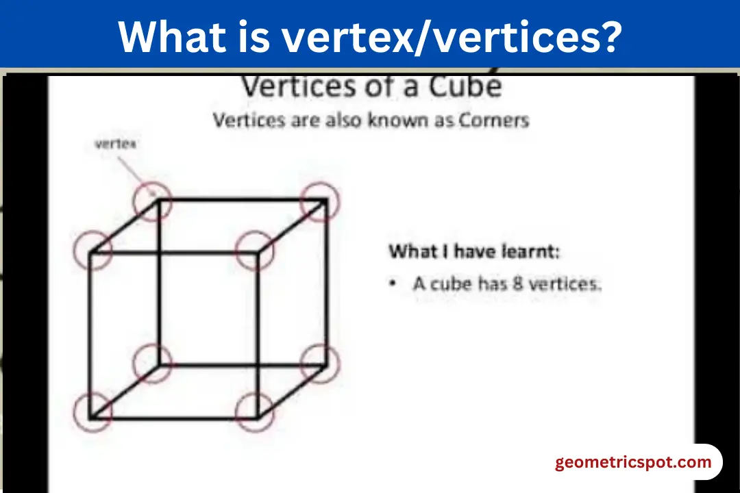 What is vertex/vertices?