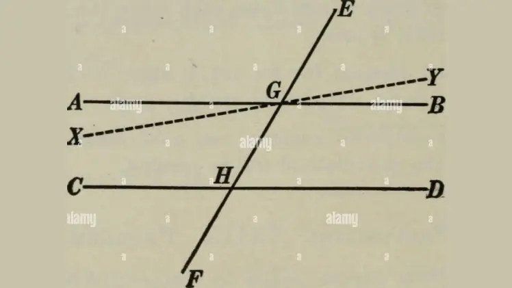 Plane Geometry Vs Solid Geometry | 2D, 3D Objects & Formulas/ Theorem