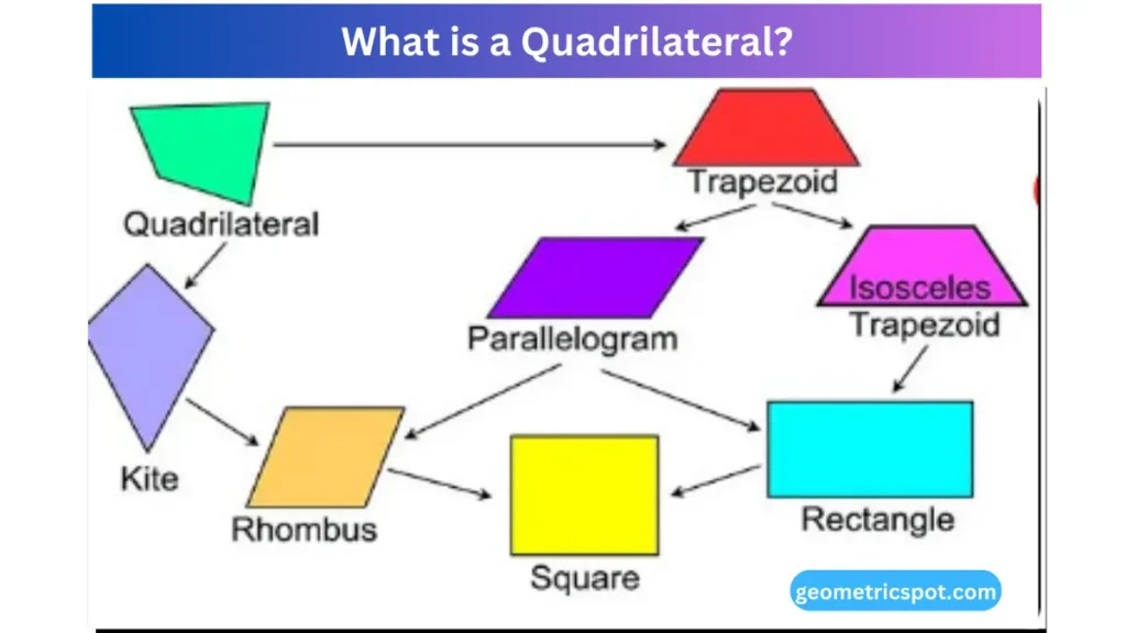 What is a Quadrilateral?