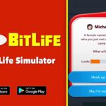 BitLife Life Simulator