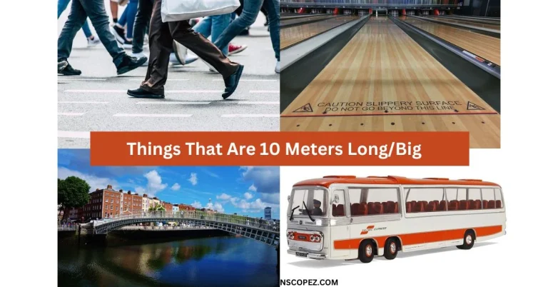 Things That Are 10 Meters Long or Big