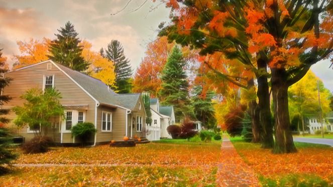 How Homeowners Can Plan for Any Season
